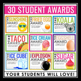 End of the Year Awards - Pun Edition Student Award Certificates Vol 1