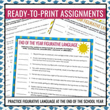 End of the Year Figurative Language Assignments – Literary Devices Activity