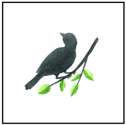 To Kill a Mockingbird by Harper Lee Unit Plan