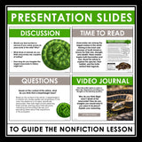 Nonfiction Reading Comprehension Article and Activities - Anaconda Snakes