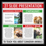 Canadian Animals Presentation - Wildlife in Canada Introduction or ESL Lesson
