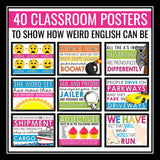 English Posters Classroom Bulletin Board Decor - 40 English is Weird Posters