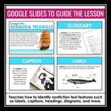 Nonfiction Text Features Presentation & Digital Escape Room Reading Activity