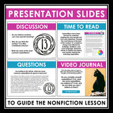 Nonfiction Reading Comprehension Article and Activities - The Number 13