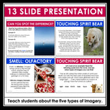 Touching Spirit Bear Activity - Analyzing Novel Imagery & Descriptive Writing