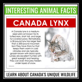 Canadian Animals Presentation - Wildlife in Canada Introduction or ESL Lesson