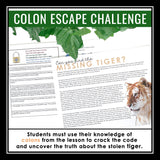 Colons Punctuation Grammar Activity Escape Room Challenge, Presentation, & Quiz