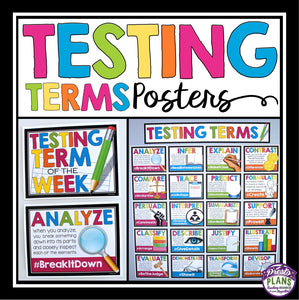 STANDARDIZED TEST TERMS POSTERS & ACTIVITY (Test Prep)
