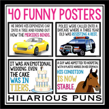 PUN CLASSROOM POSTERS