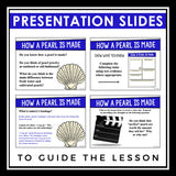 NONFICTION ARTICLE AND ACTIVITIES INFORMATIONAL TEXT: HOW A PEARL IS MADE